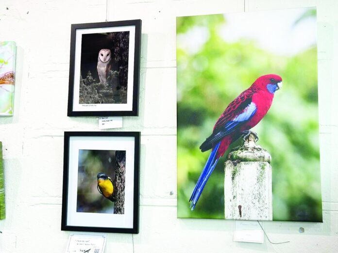 What’s Happening at the Gallery