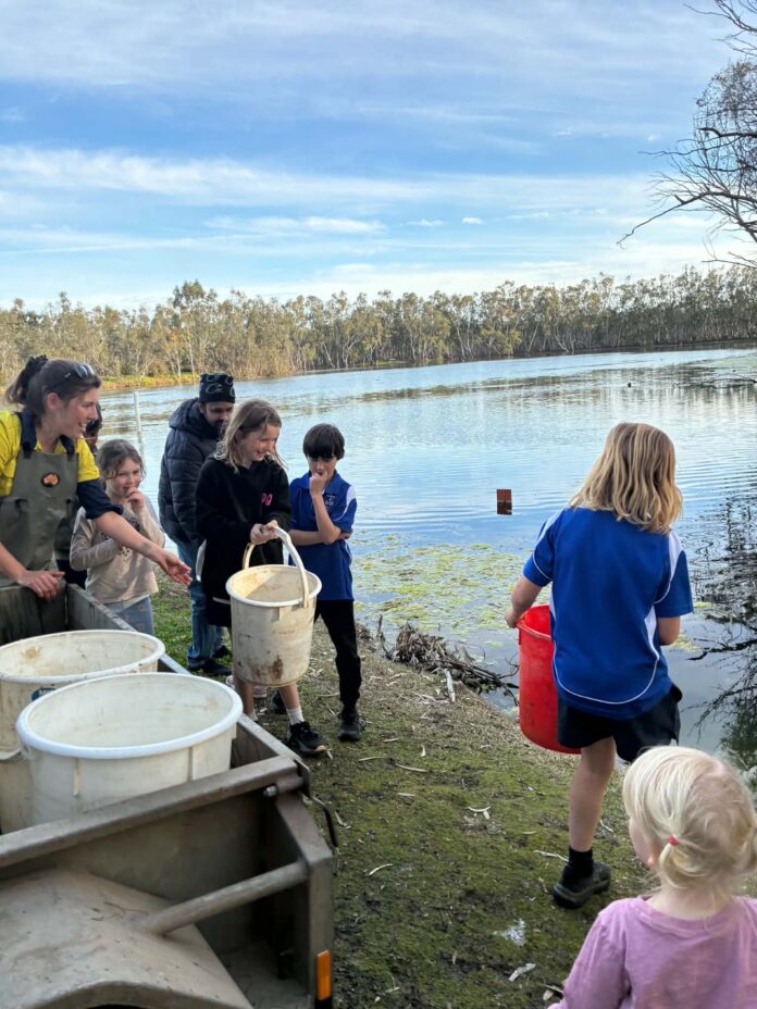 Trout stocked at Nhill Lake for school holidays