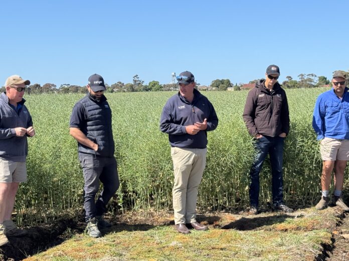 Left to right Farm Manager Brad Witmitz, BASF Tariq Gerardi, BASF Luke Collier, Nutrien Agronomist Tristan Rogers, Kaniva farmer Braden Clark