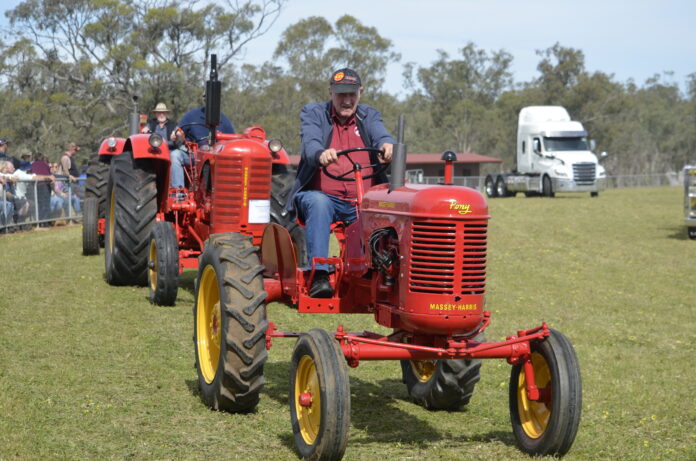 Gordon Mills drives a Massey Harris in the Grand Parade celebrating Nhill A & P Society’s 140th show.